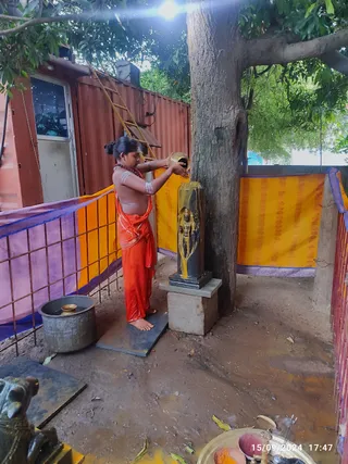 Outdoor photo of an abhishekam at a small open-air shrine beside a large tree. A young person with hair tied up in a bun, bare-chested and wearing a rudraksha mala, wraps orange cloth around the lower body and pours liquid from a brass vessel over a black stone Lingodbhava murti in a gold-tinted tall column form. A metal pot, a brass bowl, a stone bull figure at the lower left and a tray of fruit and offerings sit nearby. Orange and purple cloth draping and a rusted rebar fence enclose the area, with a shipping-container-style structure behind. Timestamp 15/09/2024 17:47 at lower right.