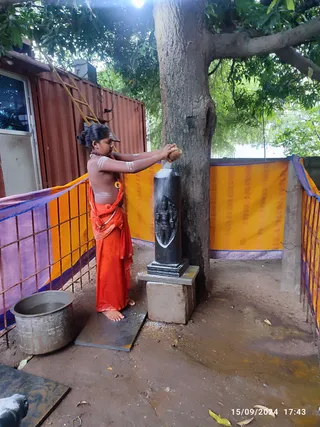 A young person with hair tied in a bun and white ash markings on the arms and upper back pours liquid from a small metal vessel over a black stone lingam pillar in an outdoor courtyard. The person wears an orange-saffron cloth wrapped around the waist and drapes, with a rudraksha-style bead necklace, and stands barefoot on a metal plate. The black pillar carries a carved relief of a deity form, set on a stone pedestal beside a large tree trunk. Behind is a yellow and purple striped cloth fence, a red metal container structure, and a steel vessel of water on the left. The scene reads as an abhishekam ritual at a shrine.