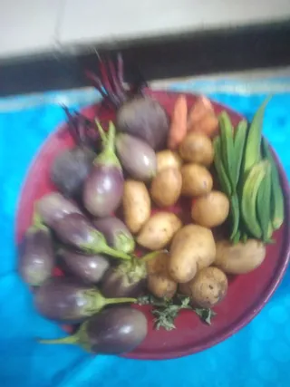 KAILASA THIRUCHENGODE On 20/9/2025