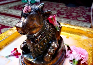 Close-up photograph of a dark bronze-toned Nandi bull statue seated on a round wooden base, with a red-and-white tilak mark on its forehead and a pink flower tucked beside its back. Dried pink petals and a small pink flower lie on a gold-edged tray with a red patterned carpet in the background. No people are visible.