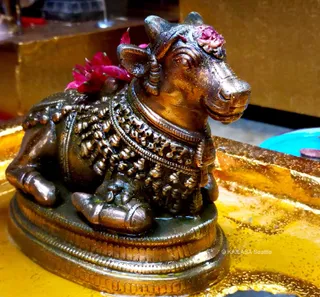 A close-up photograph of a bronze-toned statue of Nandi, the seated bull, facing right on an ornate base. The bull wears a beaded, textured harness and collar with a rose-coloured flower tucked near its head and another flower behind its shoulder. It rests on a gold-toned tray with a blue object visible at the upper right. No physical people are visible.