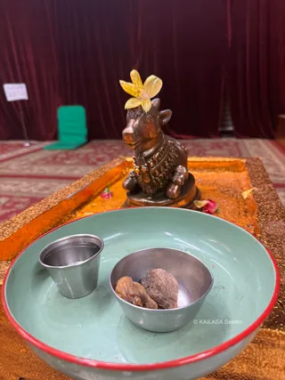 A small bronze Nandi bull statue sits on a gold-bordered orange tray before a dark red curtain, a yellow flower placed on its head and a bead necklace on its neck. In front, a mint-green plate with a red rim holds a small stainless steel cup of water and a bowl of two dried fruit pieces. Small pink flowers and petals lie on the tray. A green chair and a white sign on a stand appear in the background. No people are visible.