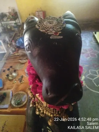 KAILASA Salem On January 22, 2026