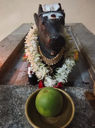 KAILASA PONDICHERRY On 25/7/2024