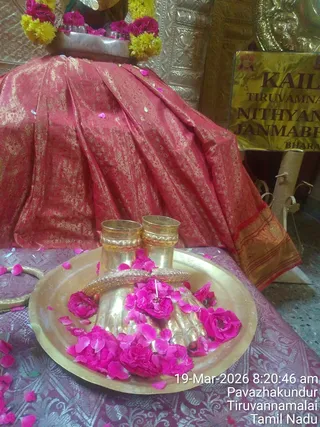 A photograph of a shrine altar with a large draped deity figure wrapped in red and gold brocade cloth, topped with yellow and pink flower garlands. In the foreground a round brass tray holds two brass kalasha-style vessels with pink rose petals and roses scattered over and around them, with petals also scattered on the purple patterned cloth. To the right a yellow sign reads KAILASA, TIRUVANNAMALAI, NITHYANANDA JANMABHUMI. No people are visible in the frame. Timestamp overlay reads 19-Mar-2026 8:20:46 am, Pavazhakundur, Tiruvannamalai, Tamil Nadu.