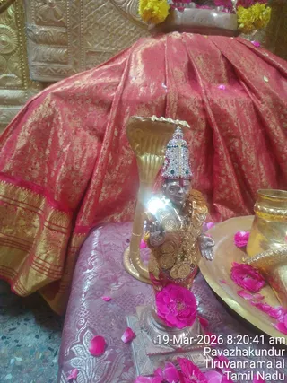 A small metal deity murti stands on a square pedestal in front of a golden hooded cobra-shaped canopy, decorated with a jeweled crown, gold coin garlands and a chain of coins across the chest. Pink and gold brocade cloth drapes the background, with pink rose petals and marigold flowers scattered around. A brass tray holds a golden vessel and more rose petals beside the figure. The photo carries a timestamp reading 19-Mar-2026 8:20:41 am, Pavazhakundur, Tiruvannamalai, Tamil Nadu. No people are visible.