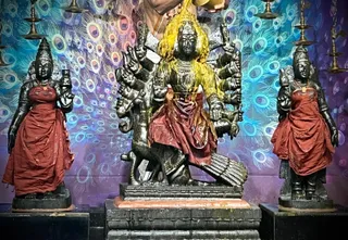 KAILASA HOUSTON, USA On 8/11/2024