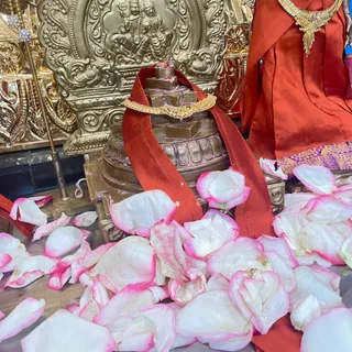 KAILASA HOUSTON, USA On 5/9/2024