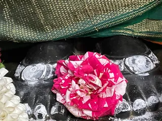 KAILASA SEATTLE, USA On 20/8/2024