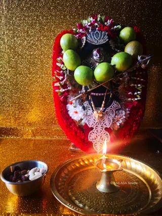 KAILASA SEATTLE, USA On 27/8/2024
