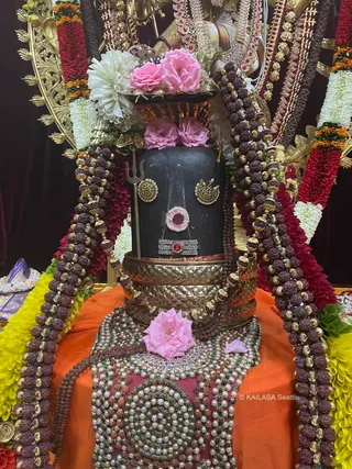 KAILASA SEATTLE, USA On 25/6/2024