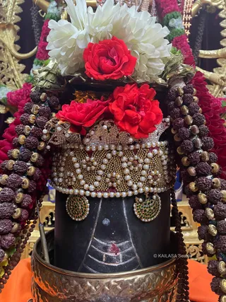 KAILASA SEATTLE, USA On 25/6/2024