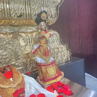 KAILASA HOUSTON, USA On 20/11/2024