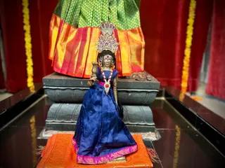KAILASA HOUSTON, USA On 3/9/2024
