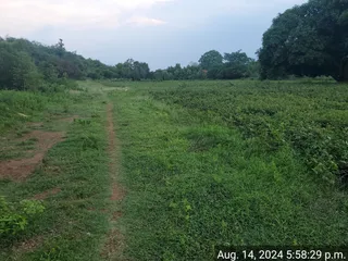KAILASA Salem On 13/8/2024