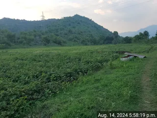 KAILASA Salem On 13/8/2024