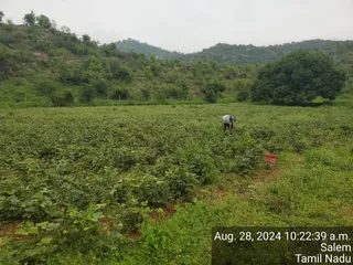 KAILASA Salem On 27/8/2024