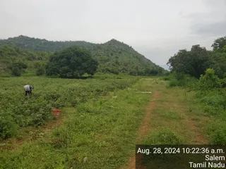 KAILASA Salem On 27/8/2024