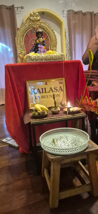 KAILASA REUNION FRANCE On February 11, 2026
