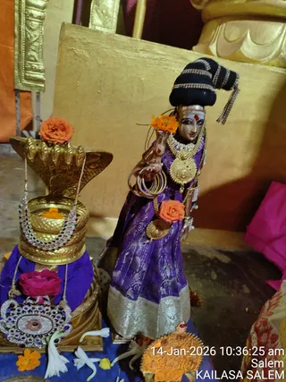 Photograph of a shrine arrangement with no visible living people. A female deity murti stands in the centre wearing a purple silk sari with a silver-gold border, a gold necklace with a large round pendant, layered bangles, and a black upswept hairstyle with silver trim; a red tilak marks her forehead and she holds a flower-decorated object. To the left, a gold kalasha-style base holds a gold-and-silver stone necklace, a purple cloth wrap and a pink flower, beneath a gold cobra hood. Orange marigolds and white petals are scattered on a blue cloth. A timestamp reads 14-Jan-2026 10:36:25 am, Salem, KAILASA SALEM.
