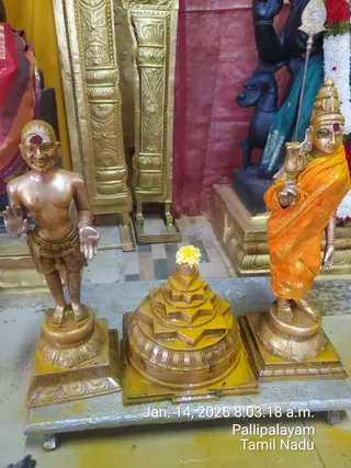Photo of a shrine arrangement with three golden-bronze metal figures on a silver-toned platform. At center sits a yellow-painted sri yantra (layered stepped triangles) topped with a single yellow flower. To the right stands a figure in an orange saffron shawl with gold border, a gold crown, a red tilak, holding a ceremonial staff-like object. To the left stands a bare-chested small figure with red bindi-like mark, wearing a gold waist cloth and gesturing with raised hand. Behind are gold-embossed pillars, a red draped cloth, a black stone figure with an upraised arm, and white flower garlands. A timestamp overlay reads Jan. 14, 2026 8:03:18 a.m. and Pallipalayam, Tamil Nadu. No people are visible.