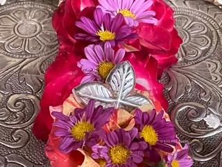 KAILASA SEATTLE, USA On 31/7/2024