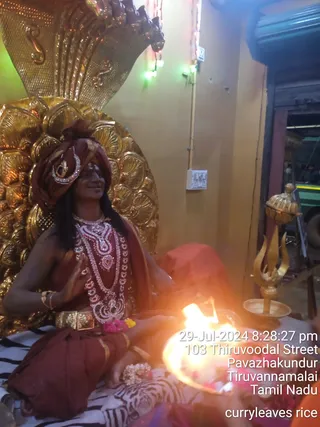 A photograph of a seated figure in maroon and red-brown ceremonial dress, wearing a maroon turban with a silver jewelled ornament, layered silver and red jewelled necklaces, and bangles. The figure, with dark face paint and a tilak mark, sits before a large golden cobra hood backdrop, with the hand raised in a blessing gesture. A bright flame burns in a brass plate of offerings in the foreground. A golden trident stands to the right beside a brass lamp, and a zebra-patterned cloth covers the seat. Date and location stamp in the lower right reads 29-Jul-2024 8:28:27 pm, 103 Thiruvoodal Street, Pavazhakundur, Tiruvannamalai, Tamil Nadu. Figure is a statue or costumed depiction rather than a living person, with a person-style presentation only loosely indicated by the ceremonial dress; appearance is uncertain.
