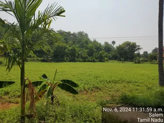 KAILASA Salem On 6/11/2024