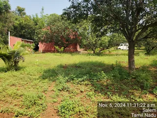 KAILASA Salem On 6/11/2024