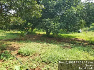 KAILASA Salem On 6/11/2024