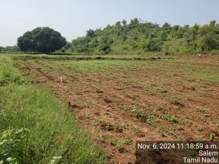 KAILASA Salem On 6/11/2024