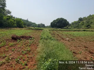 KAILASA Salem On 6/11/2024
