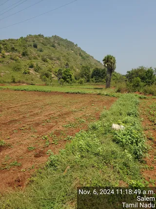 KAILASA Salem On 6/11/2024