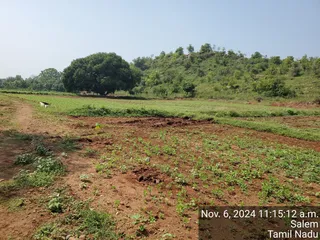 KAILASA Salem On 6/11/2024