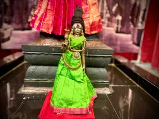 KAILASA HOUSTON, USA On 21/11/2024