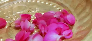 KAILASA SIERRA LEONE On 3/9/2024