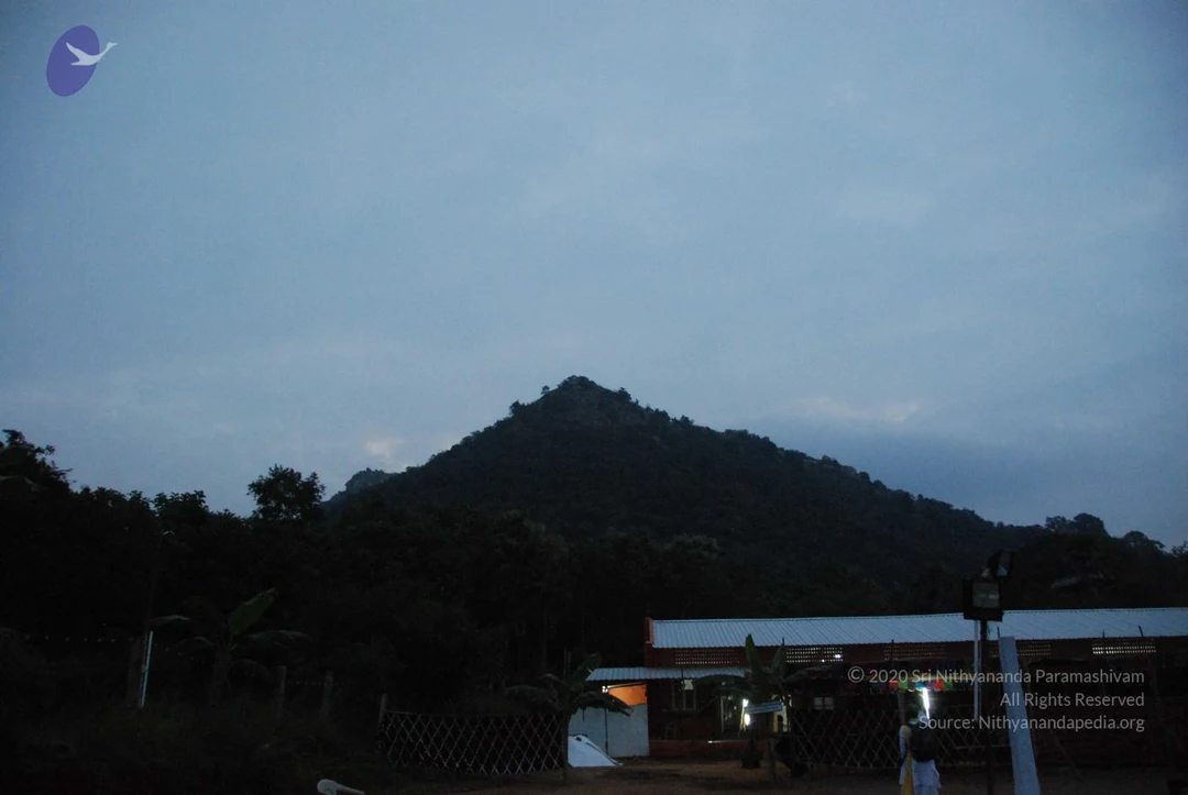 20100108 Photo 1000 1icO DtCIY3dc1CyXswccHOPbre6iFQm0.JPG