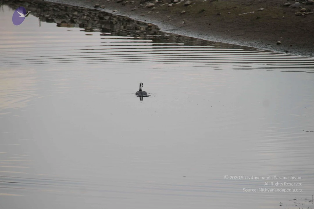 20140310 Photo 1067 1uHzNPAKFvmFceVs0DTZ8TiL5YLY4kZW1.JPG