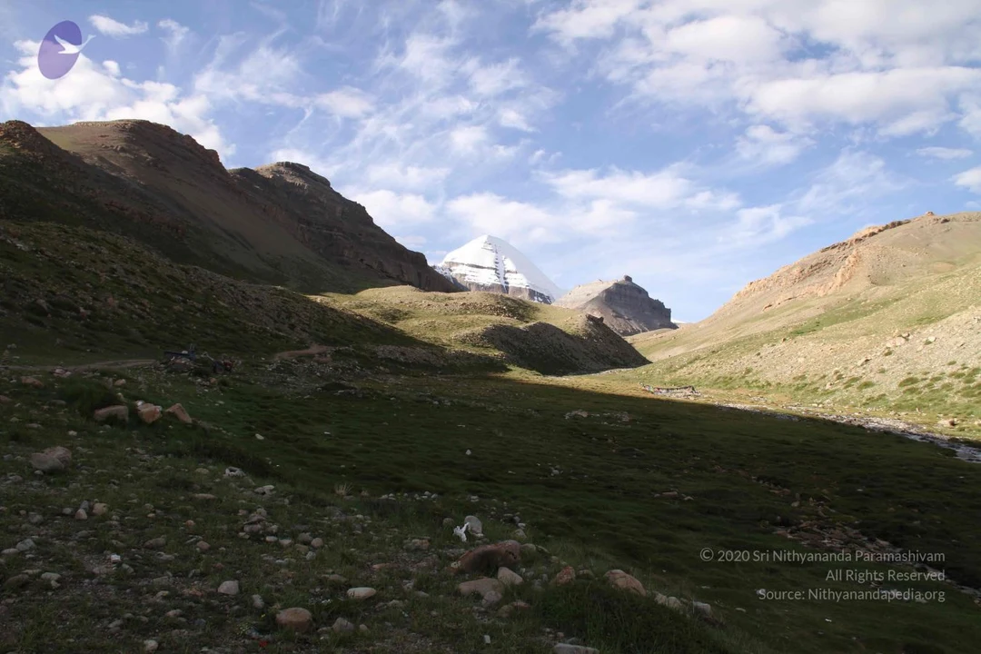 20110806 Photo 1514 1sJMjSO-GJTRfKGP6hdBY8UZ1VfsJkKpY.JPG