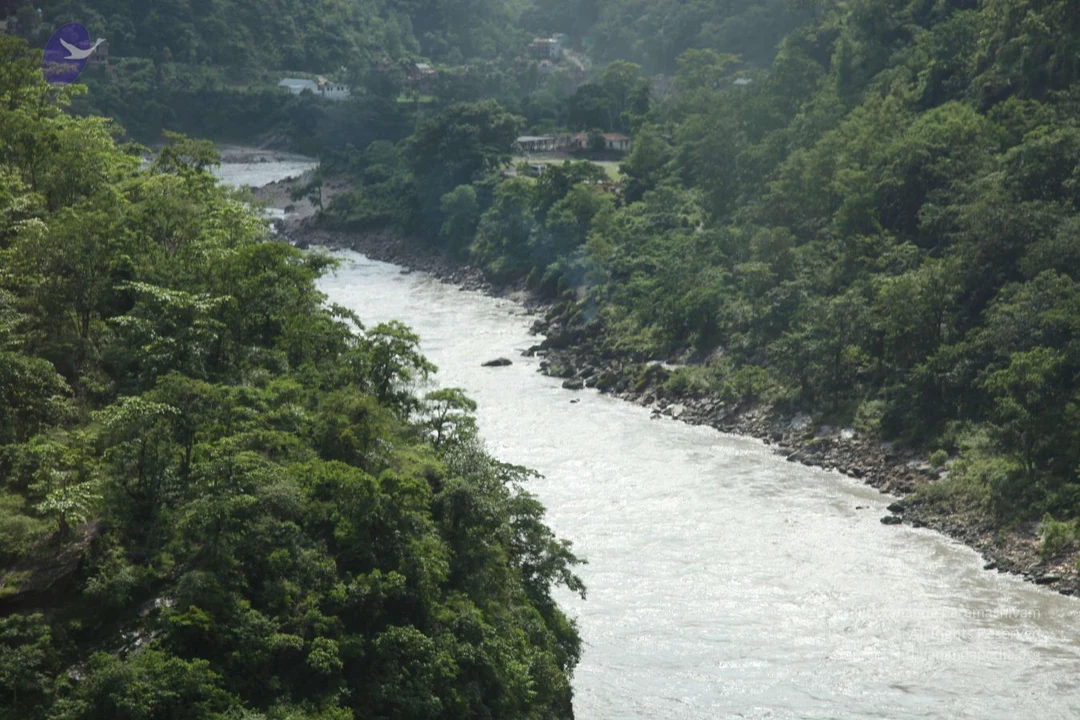 20110729 Photo 1003 1VDRki5-ZjxQFm7F00H3qQrTI24N6x6P .JPG