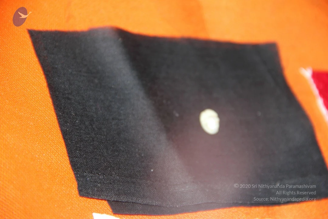 20110901 Photo 2668 1IhiNJsKLGByPmHRLLwjaC69vlPzP1sQh.JPG