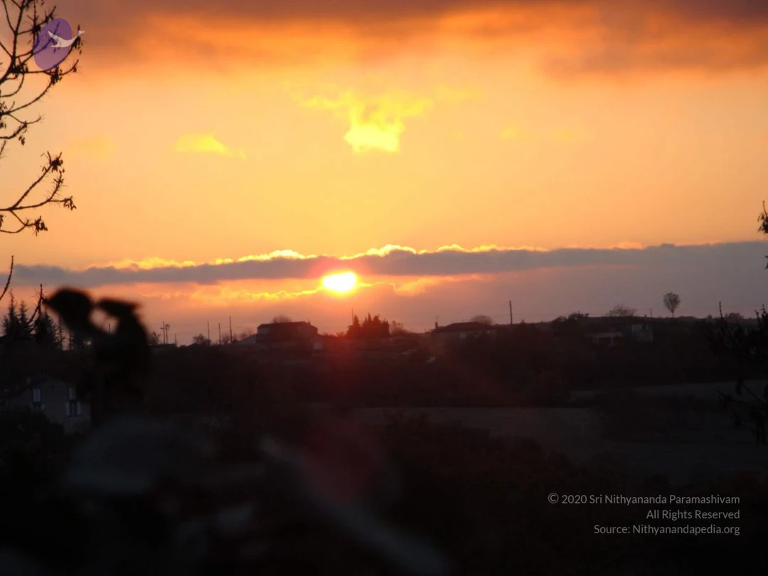 20081231 Photo 2390 1l4e0KCsg8XR8cf95vLZ1eZ 6xqs0jidD.JPG