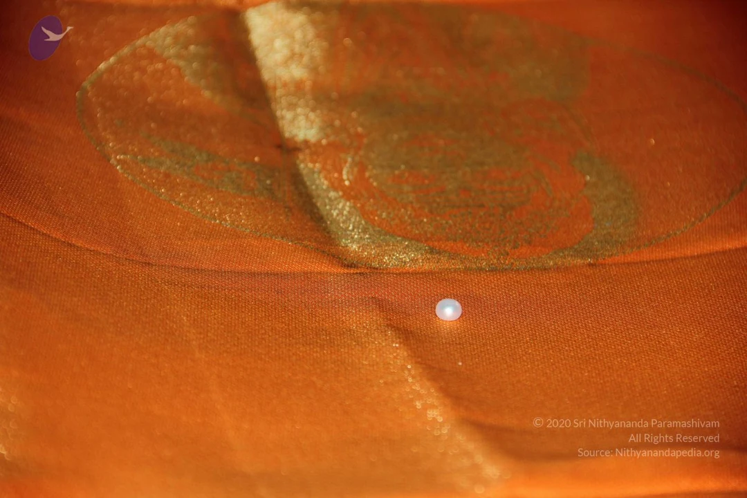 20110909 Photo 1644 12PalaSkb25B5sdWYOOHlWRLcfBRusT2Y.JPG
