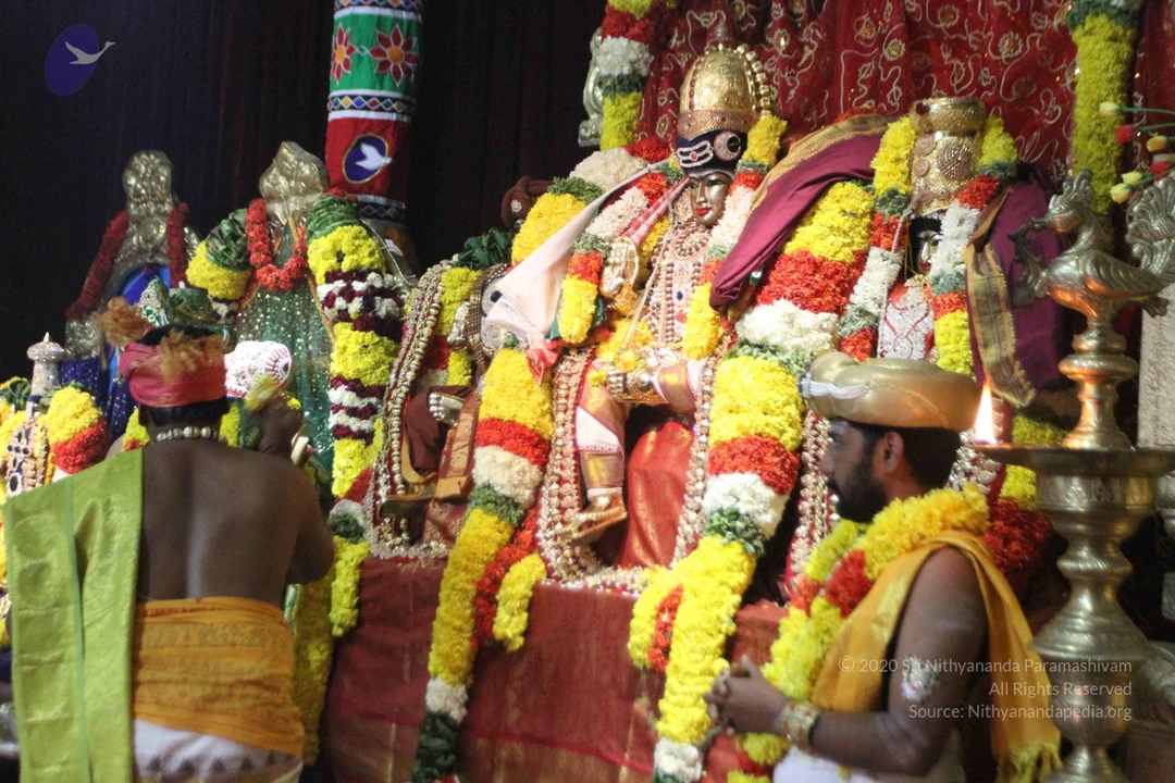 20160202 Photo 1125 1HzZYWWeRLjwbPSl8ZRB6QsIC636QmMnO.JPG