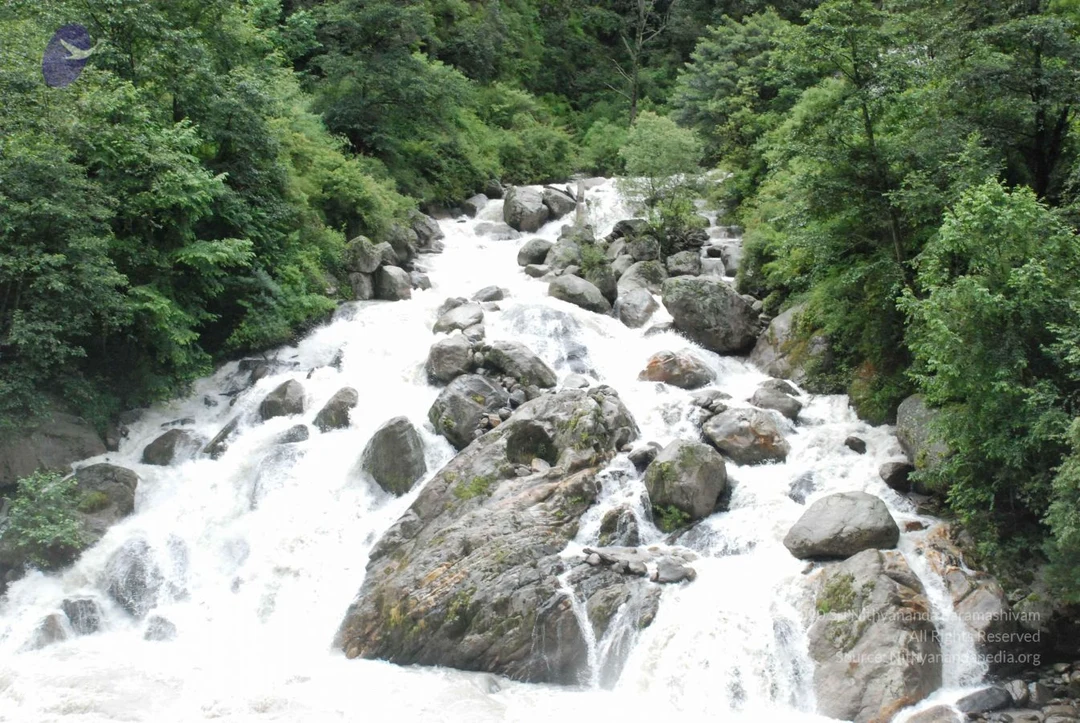 20080702 Photo 1325 1NXHRwThOJhvEGedmEbBHdIvNsXTW58w3.JPG