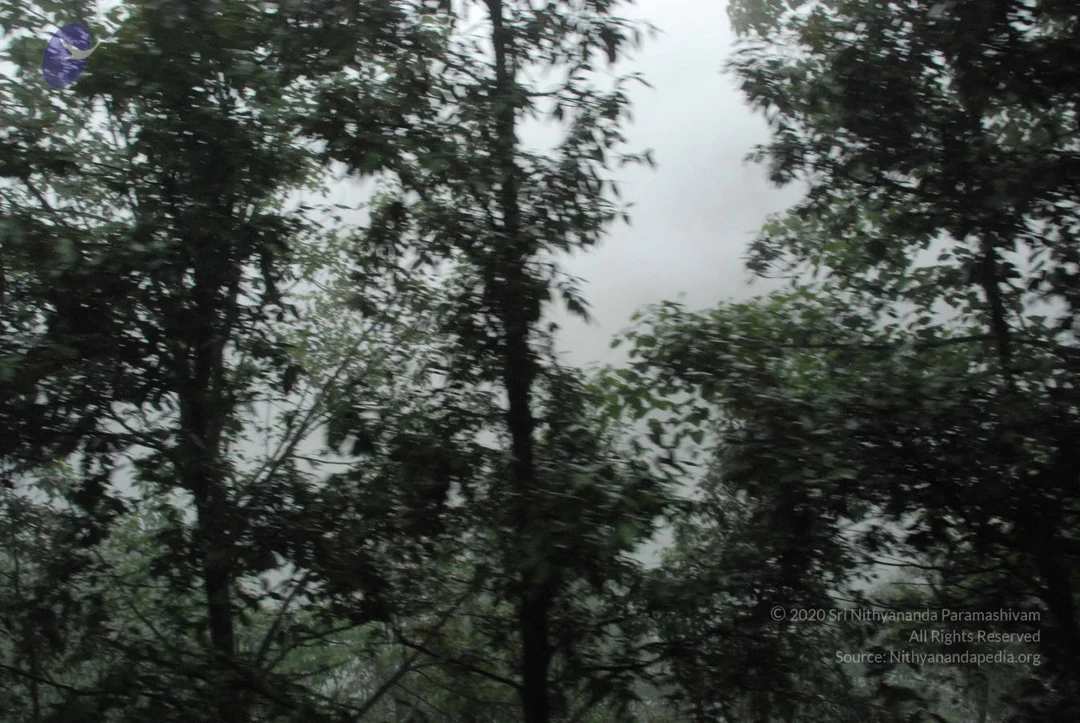20080707 Photo 1533 1aza6V8S3U8xkW k9xIQd2399knJb8sss.JPG