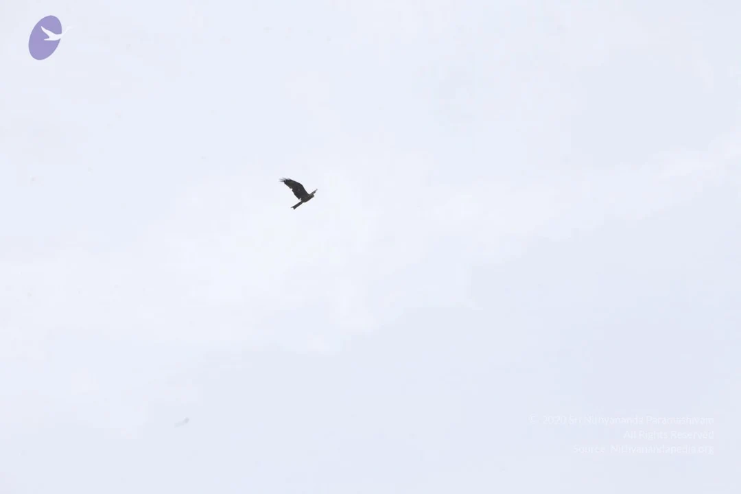 20130624 Photo 1134 1ACi exmwfg9XtfTa0K0WIZP5DxiUi6U6.JPG