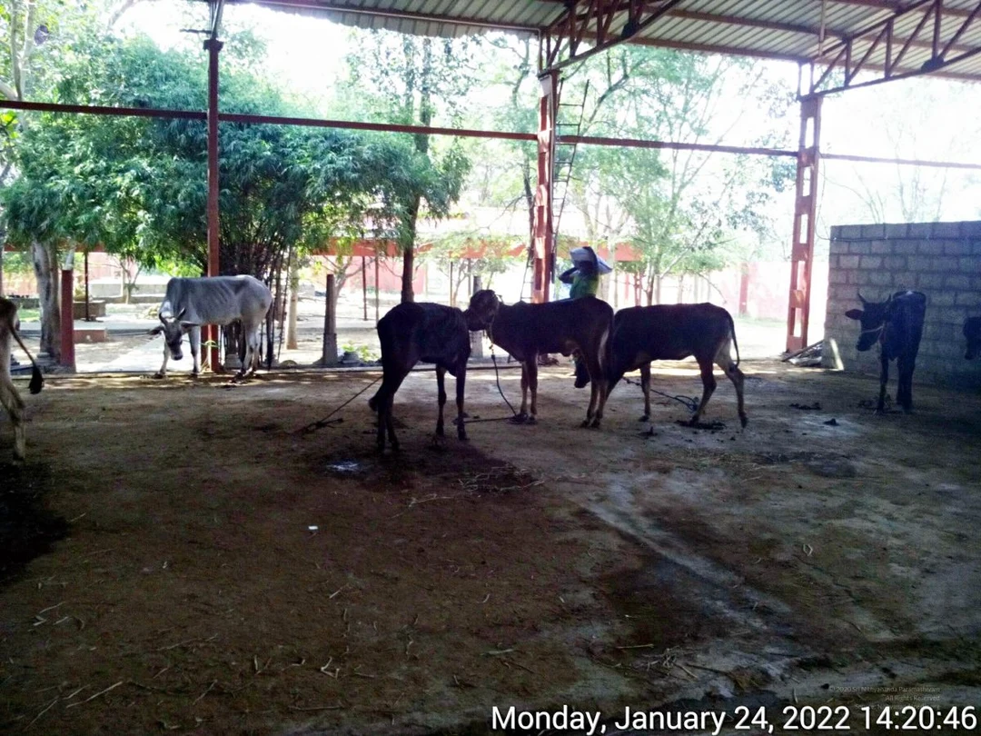 20220124 142045 11.jpg