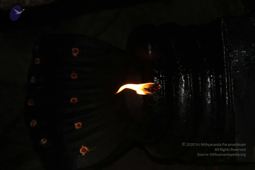 20130731 Photo 1013 1Jf5RdgeXhaXtcTczQzldSPlRc-AVljfv.JPG