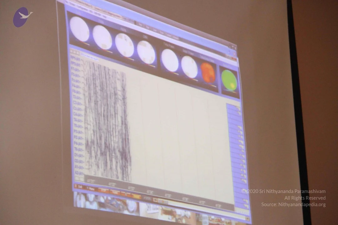 20110817 Photo 1110 1VsicqMyiI7buNDknIYiMxlqBVSUgrV8j.JPG
